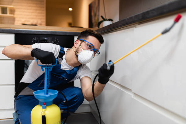 Best Cockroach Control Services  in Chisago City, MN