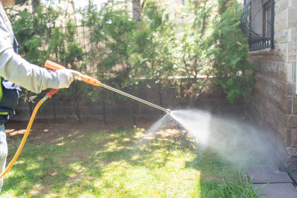 Best Termite Control Services  in Chisago City, MN