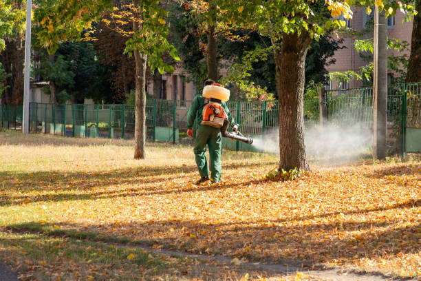 Best Local Pest Control Services  in Chisago City, MN