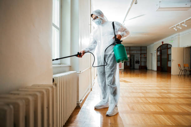Best Exterminator Services  in Chisago City, MN