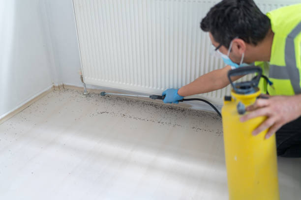 Professional Pest Control in Chisago City, MN
